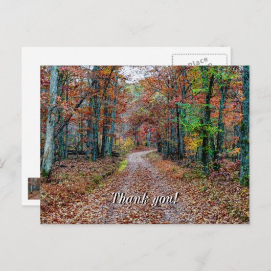 Auf die Schreckstraße fallen dank Postkarte (Vorne/Hinten)