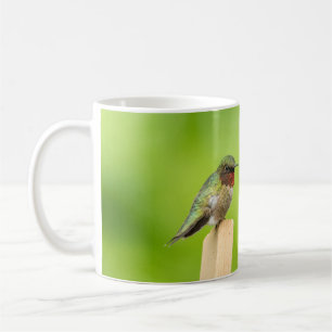 Auf einem Ast sitzender Kolibri, der den Traum leb Kaffeetasse