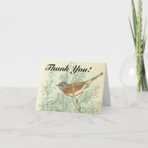 Auf einem Ast sitzender Vogel "Danke!" Karte