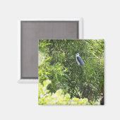 Auf einem Baum stehende Eule Magnet (Vorderseite/Rückseite)