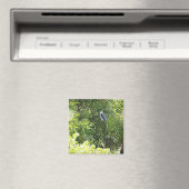 Auf einem Baum stehende Eule Magnet (In Situ (Geschirrspüler))
