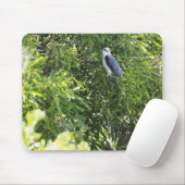 Auf einem Baum stehende Eule Mousepad (Mit Mouse)