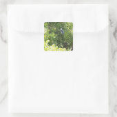 Auf einem Baum stehende Eule Quadratischer Aufkleber (Tasche)