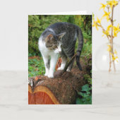 Auf einem Cat Walk - Kitty Grußkarte Karte (Gelbe Blume)