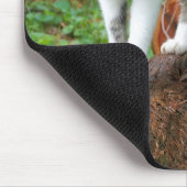 Auf einem Cat Walk - Kitty Mousepad (Ecke)