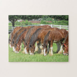 Auf einem Feld fütternd Pferde Puzzle