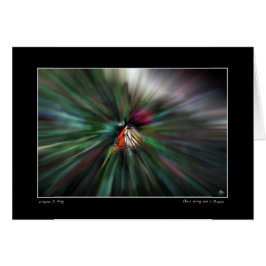 Auf einem Flügel und einem Gebet