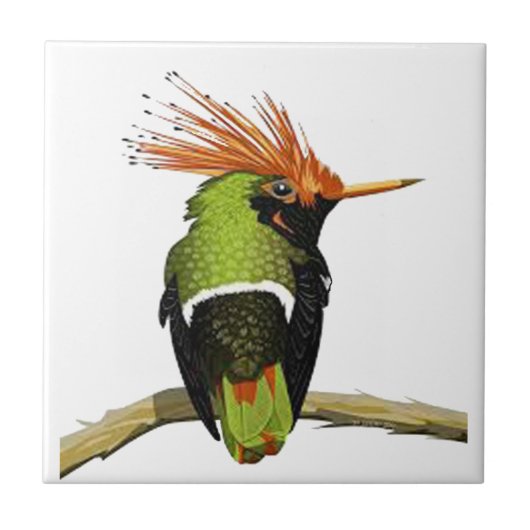 AUF EINEM GLIED FLIESE (Vorderseite)