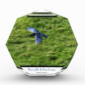 Auf einem grünen Feld steht ein blauer Vogel. Fotoblock