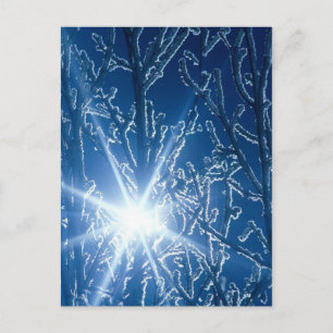 Auf einem schneebedeckten Abend durch Wälder stopp Postkarte