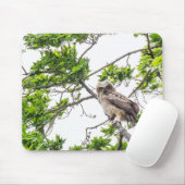 Auf einer Ahornzweigung Mousepad (Mit Mouse)