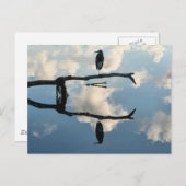 Auf einer Extremität Postkarte (Vorne/Hinten)