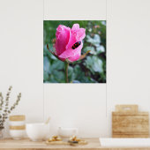 auf einer Rose ruhen Poster (Küche)