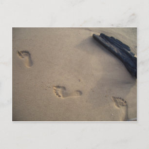 Auf einer Wanderung durch den Sand Postkarte