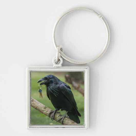 Auf einer Zweigstelle mit Schlüssel Schlüsselanhänger (Vorne)