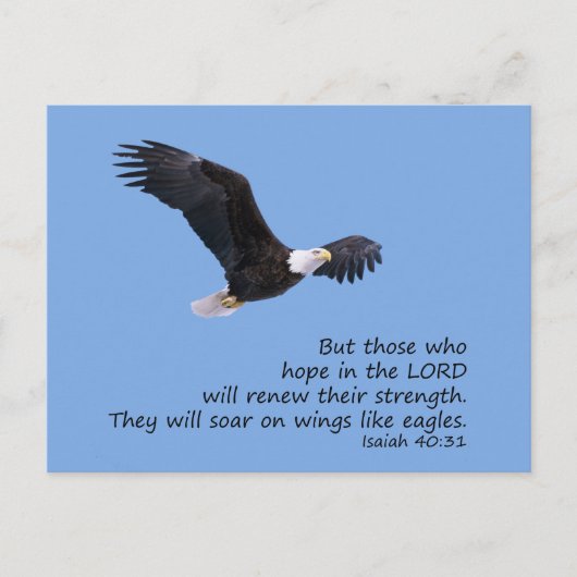 Auf Flügeln wie Adlerpostkarte Postkarte (Vorderseite)