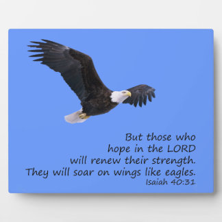 Auf Flügeln wie der Adlerebene Fotoplatte