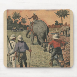 Auf französisch den Kongo, bildete Elefant zum Mousepad