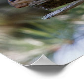 Auf freiem Fuß Poster (Ecke)