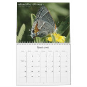 Auf Gaze Wings Schmetterlings-Kalender 2011 Kalender (Mär 2026)