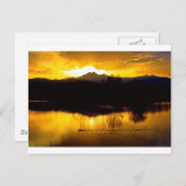 Auf goldenen Teichen Postkarte (Vorne/Hinten)