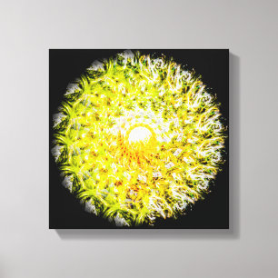 Auf halbem Weg zur Sun Brushstroke Spiral Mandala Leinwanddruck
