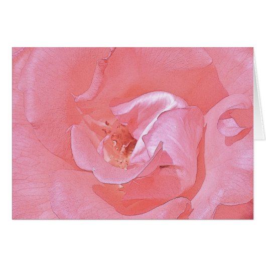Auf Ihrer gemeinsamen Reise - Rosa Rose (Vorderseite (Horizontal))