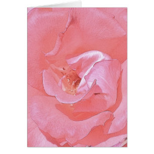 Auf Ihrer gemeinsamen Reise - Rosa Rose