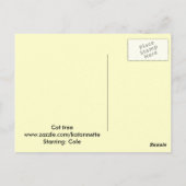 auf Katzenbaum Postkarte (Rückseite)