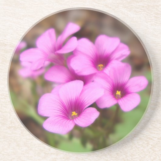 Auf meinem Haustür-Untersetzer Untersetzer (Vorne)