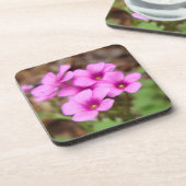 Auf meinem Haustürk-Cork-Untersetzer Untersetzer (Linke Seite)