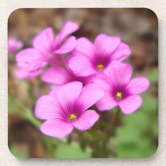 Auf meinem Haustürk-Cork-Untersetzer Untersetzer (Vorderseite)