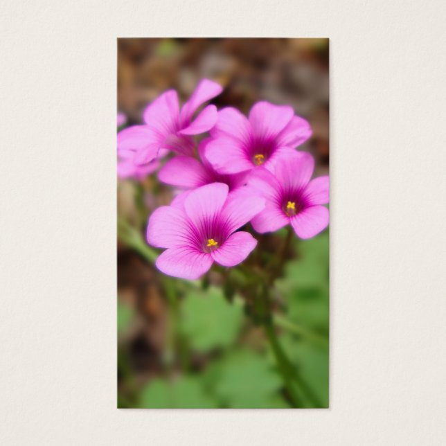 Auf meinen Haustür-Lesezeichen (Vorderseite)