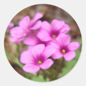 Auf meinen Türschreibern Runder Aufkleber (Vorderseite)