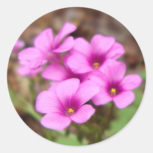 Auf meinen Türschreibern Runder Aufkleber (Vorderseite)