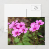 Auf meiner Postkarte (Vorne/Hinten)