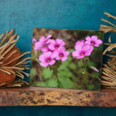 Auf meiner Türstufe Foto Plaque Fotoplatte (Seite)
