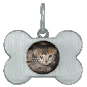 Auf Mommas Back Pet ID-Tag Tiermarke