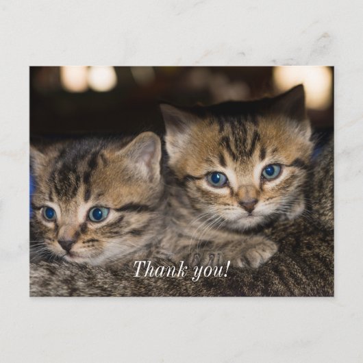 Auf Mommas Rücken danke Ihnen Postkarte (Vorderseite)