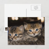 Auf Mommas rücker Postkarte (Vorne/Hinten)