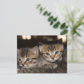 Auf Mommas rücker Postkarte (Stehend Vorderseite)