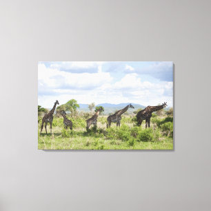 Auf Nationalpark der Safari- Mikumi Tansania Leinwanddruck