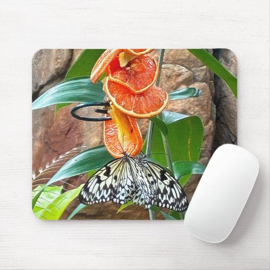 Auf Orangen Fütternd Baumnymph-Schmetterlinge Mousepad (Mit Mouse)