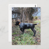 Auf Punktwelpen Postkarte (Vorne/Hinten)