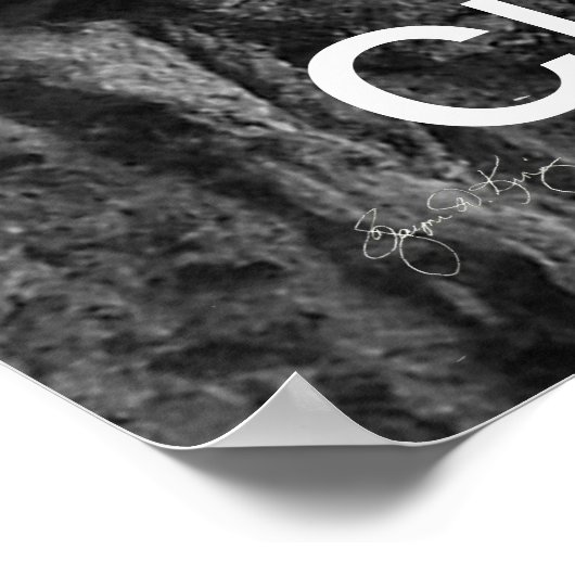 Auf Rattlesnake stehen: Poster (Ecke)