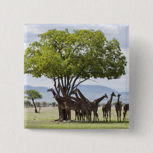 Auf Safari im Mikumi-Nationalpark in Tansania, Button