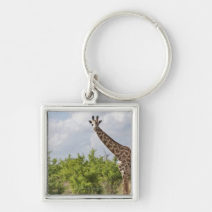 Auf Safari in Tansania, Afrika. 2 Schlüsselanhänger