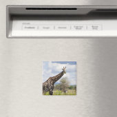 Auf Safari in Tansania, Afrika. Magnet (In Situ (Geschirrspüler))