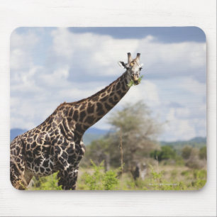 Auf Safari in Tansania, Afrika Mousepad
