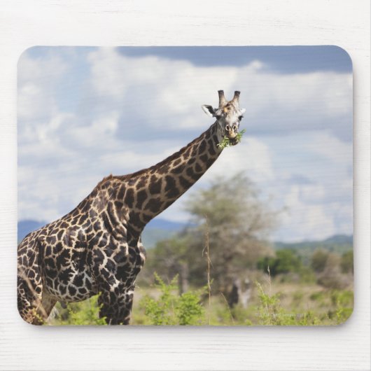Auf Safari in Tansania, Afrika. Mousepad (Vorne)